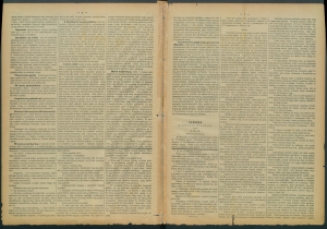 gazeta radomska-1885-26-00002